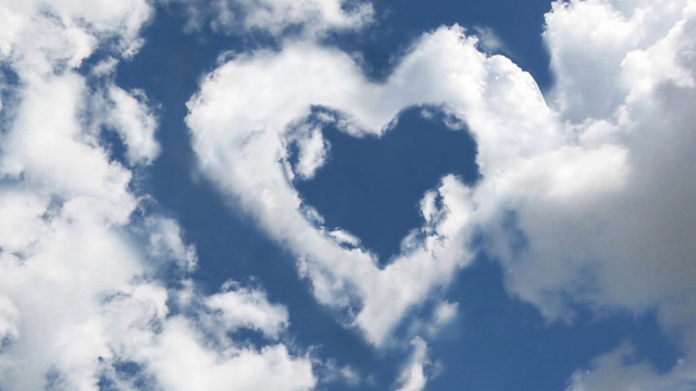 K1体育：乒乓球台的底线叫什么